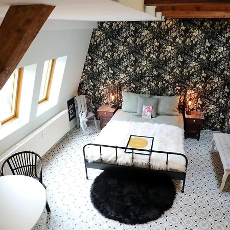 Neu! Dd-style! Neustadt-oase