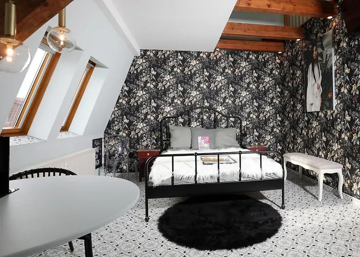 Neu! Dd-style! Neustadt-oase 公寓 德累斯顿