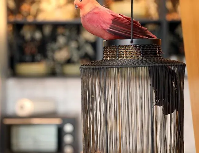 Neu! Dd-style! Neustadt-oase 德累斯顿