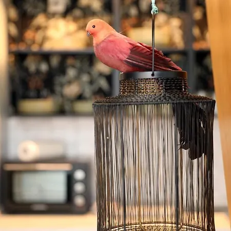 Neu! Dd-style! Neustadt-oase Dresden